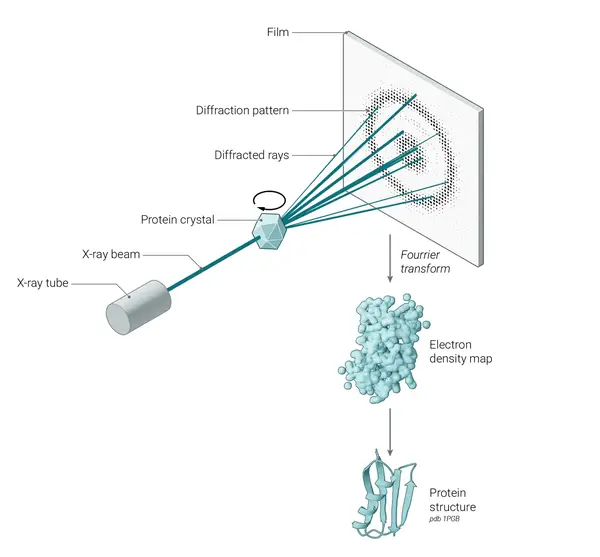Neuroscience Slide