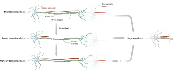 Neuroscience Slide