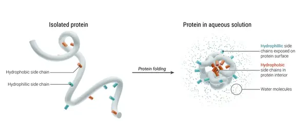 Neuroscience Slide